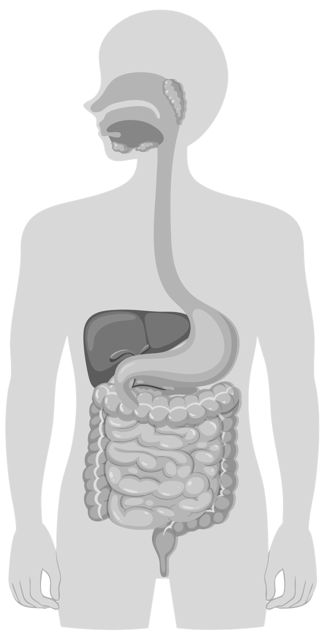 Imagen del Dr. Josué